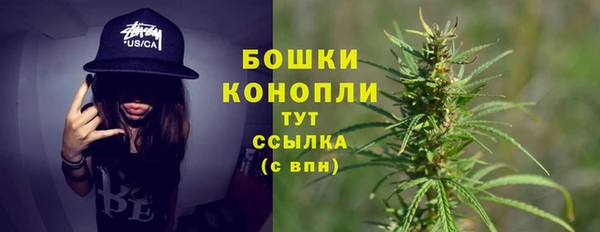 стаф Баксан