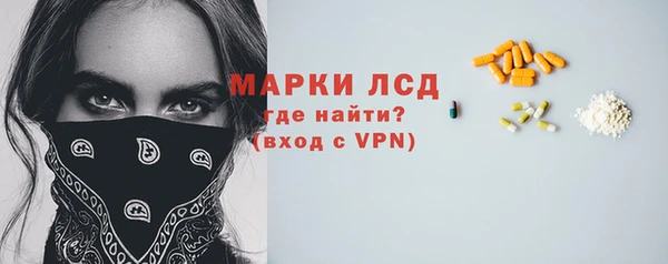 стаф Баксан