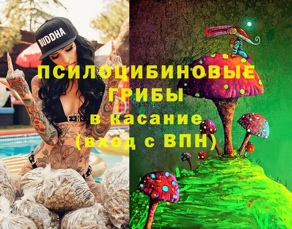 стаф Баксан