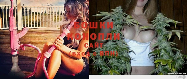 стаф Баксан
