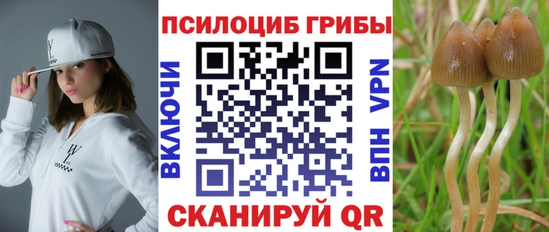 купить  сайты  Козловка  Галлюциногенные грибы Cubensis 